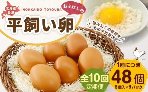 [ 定期1ヶ月毎10回 ] 北海道 豊浦 おふけしの平飼い卵 （ 6個入 × 8パック ） 48個 卵 たまご タマゴ 玉子 エッグ 黄身 鶏卵 ゆで卵 目玉焼き 卵焼き 卵かけご飯 たまごかけごはん