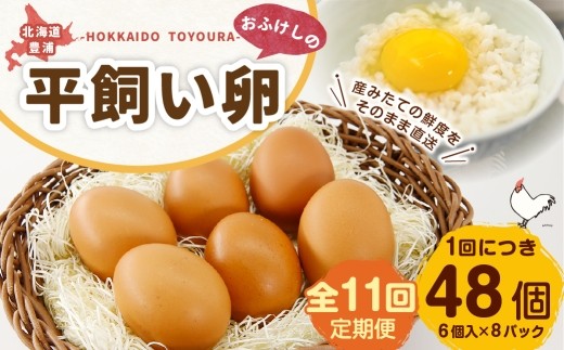 [ 定期1ヶ月毎11回 ] 北海道 豊浦 おふけしの平飼い卵 （ 6個入 × 8パック ） 48個 卵 たまご タマゴ 玉子 エッグ 黄身 鶏卵 ゆで卵 目玉焼き 卵焼き 卵かけご飯 たまごかけごはん