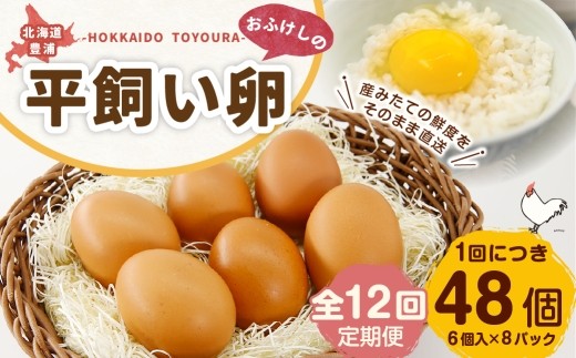 [ 定期1ヶ月毎12回 ] 北海道 豊浦 おふけしの平飼い卵 （ 6個入 × 8パック ） 48個 卵 たまご タマゴ 玉子 エッグ 黄身 鶏卵 ゆで卵 目玉焼き 卵焼き 卵かけご飯 たまごかけごはん