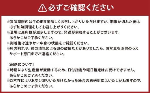 [ 定期1ヶ月毎12回 ] 北海道 豊浦 おふけしの平飼い卵 （ 6個入 × 8パック ） 48個 卵 たまご タマゴ 玉子 エッグ 黄身 鶏卵 ゆで卵 目玉焼き 卵焼き 卵かけご飯 たまごかけごはん
