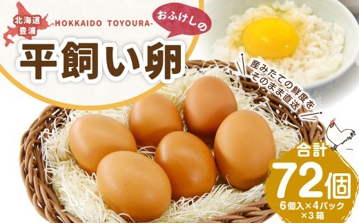 北海道 豊浦 おふけしの平飼い卵 （ 6個入 × 4パック ） × 3箱 合計72個 卵 たまご 玉子 タマゴ エッグ 鶏卵 黄身 ゆで卵 目玉焼き 卵焼き 卵かけご飯 たまごかけごはん TKG 卵料