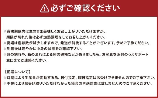 北海道 豊浦 おふけしの平飼い卵 （ 6個入 × 4パック ） × 3箱 合計72個 卵 たまご 玉子 タマゴ エッグ 鶏卵 黄身 ゆで卵 目玉焼き 卵焼き 卵かけご飯 たまごかけごはん TKG 卵料