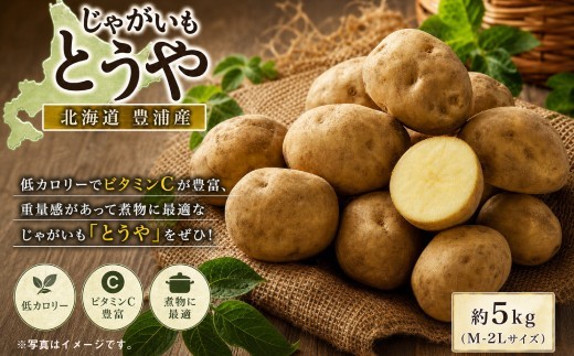 【 先行予約 】 北海道 豊浦産 じゃがいも とうや 約5kg M - 2L サイズ ジャガイモ イモ いも 芋 野菜 やさい 国産 煮物 肉じゃが カレー シチュー 低カロリー ビタミンC 【 20