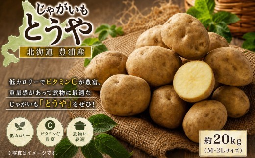 【 ふるさとチョイス限定 】 【 先行予約 】 北海道 豊浦産 じゃがいも とうや 約20kg M - 2L サイズ ジャガイモ イモ いも 芋 野菜 やさい 国産 煮物 肉じゃが カレー シチュー