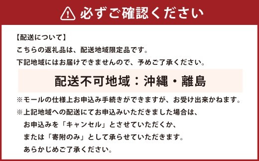 【 ふるさとチョイス限定 】 【 先行予約 】 北海道 豊浦産 じゃがいも とうや 約20kg M - 2L サイズ ジャガイモ イモ いも 芋 野菜 やさい 国産 煮物 肉じゃが カレー シチュー