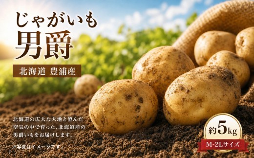 【 先行予約 】 北海道 豊浦産 じゃがいも 男爵 約5kg M - 2L サイズ ジャガイモ イモ いも 芋 野菜 やさい 国産 男爵いも ポテトサラダ コロッケ マッシュポテト 【 2026年9月
