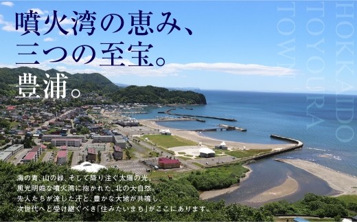 北海道産上白糖 10kg(500g×20個)