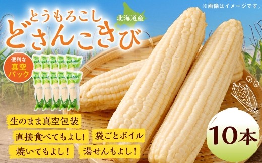 どさんこきびホワイト10本 北海道産 北海道産 野菜 やさい とうきび トウモロコシ レトルト ホワイト コーン 食べ物 食品 真空包装 加熱調理済 生で食べれる 常温 夏休み 焼きとうもろこし 非常