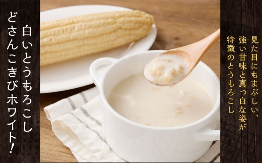 どさんこきびホワイト10本 北海道産 北海道産 野菜 やさい とうきび トウモロコシ レトルト ホワイト コーン 食べ物 食品 真空包装 加熱調理済 生で食べれる 常温 夏休み 焼きとうもろこし 非常
