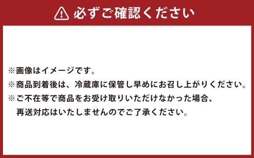 どさんこきびホワイト10本 北海道産 北海道産 野菜 やさい とうきび トウモロコシ レトルト ホワイト コーン 食べ物 食品 真空包装 加熱調理済 生で食べれる 常温 夏休み 焼きとうもろこし 非常