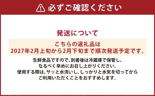 アサツキ 200g×5束 【2027年2月上旬以降順次発送】