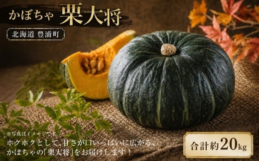 【先行予約】北海道 豊浦町 かぼちゃ 栗大将 約20kg (1箱5~7玉)約10kg×2箱 【2026年9月上旬発送開始】 カボチャ 南瓜 野菜 煮物 天ぷら