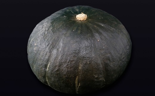 【先行予約】北海道 豊浦町 かぼちゃ 栗大将 約20kg (1箱5~7玉)約10kg×2箱 【2026年9月上旬発送開始】 カボチャ 南瓜 野菜 煮物 天ぷら