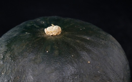 【先行予約】北海道 豊浦町 かぼちゃ 栗大将 約20kg (1箱5~7玉)約10kg×2箱 【2026年9月上旬発送開始】 カボチャ 南瓜 野菜 煮物 天ぷら