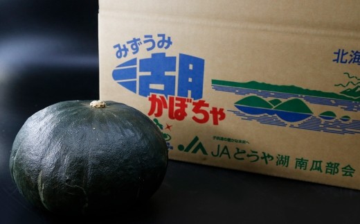 【先行予約】北海道 豊浦町 かぼちゃ 栗大将 約20kg (1箱5~7玉)約10kg×2箱 【2026年9月上旬発送開始】 カボチャ 南瓜 野菜 煮物 天ぷら
