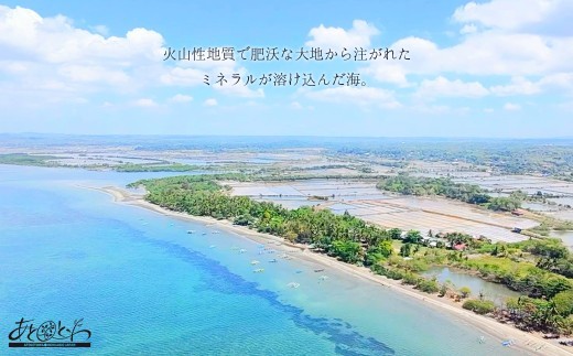 豊浦町の塩蔵で2年間以上寝かせた高級塩　天日結晶化塩　あとれとわの塩 塩蔵静置2年　350g× 2袋