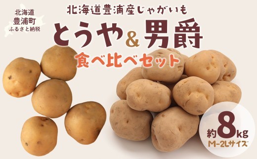 【先行予約】北海道豊浦産 じゃがいも とうや 男爵 食べ比べセット 約8kg M-2Lサイズ 【2026年9月下旬～10月下旬発送】 野菜 じゃがいも 芋 ポテト ジャガイモ ポテサラ ポテトサラダ