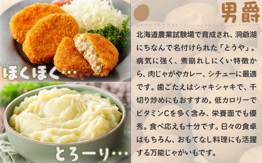 【先行予約】北海道豊浦産 じゃがいも とうや 男爵 食べ比べセット 約8kg M-2Lサイズ 【2026年9月下旬～10月下旬発送】 野菜 じゃがいも 芋 ポテト ジャガイモ ポテサラ ポテトサラダ
