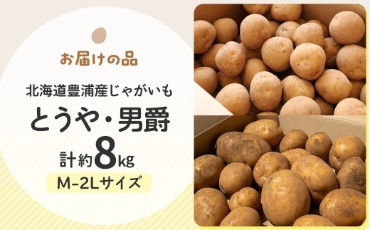 【先行予約】北海道豊浦産 じゃがいも とうや 男爵 食べ比べセット 約8kg M-2Lサイズ 【2026年9月下旬～10月下旬発送】 野菜 じゃがいも 芋 ポテト ジャガイモ ポテサラ ポテトサラダ