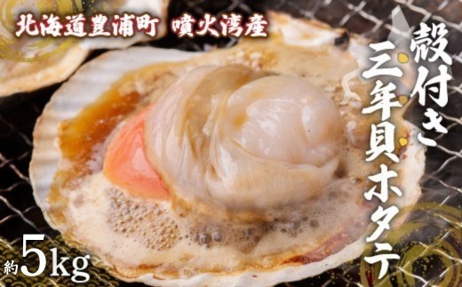 【先行予約】北海道 豊浦町 殻付き 3年貝 活ホタテ 約5kg（20～25枚）（2026年1月より順次発送）