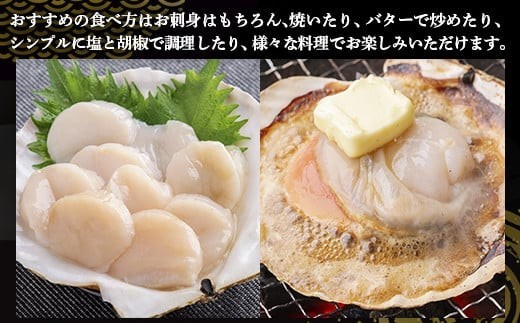 【先行予約】北海道 豊浦町 殻付き 3年貝 活ホタテ 約5kg（20～25枚）（2026年1月より順次発送）