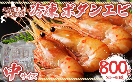 冷凍ボタンエビ 中サイズ 計800g（34～40尾） 北海道 噴火湾産