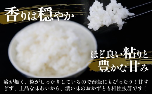■3ヵ月連続お届け　【定期便 3回】 北海道 豊浦 令和7年度産 精米 ゆめぴりか 5kg