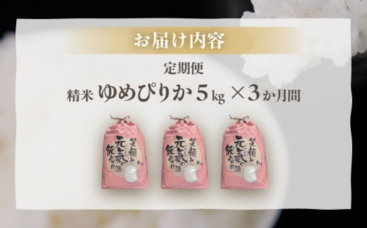 ■3ヵ月連続お届け　【定期便 3回】 北海道 豊浦 令和7年度産 精米 ゆめぴりか 5kg