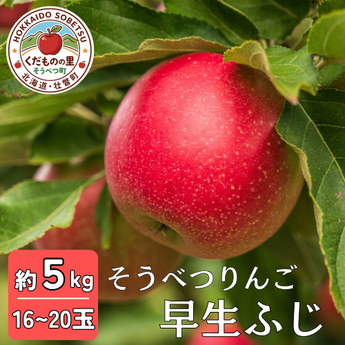 【先行予約】 早生ふじ 約5kg 《2026年10月中旬頃～発送予定》 SBTB012