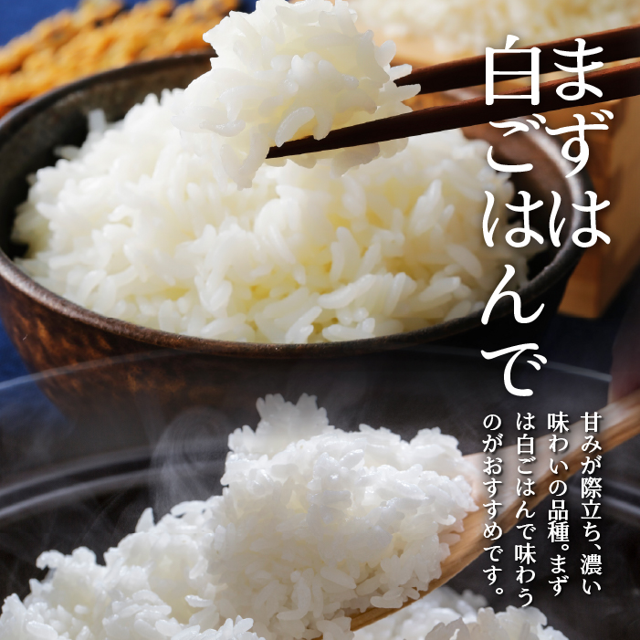 【令和7年産】(無洗米5kg)ホクレンゆめぴりか SBTD058
