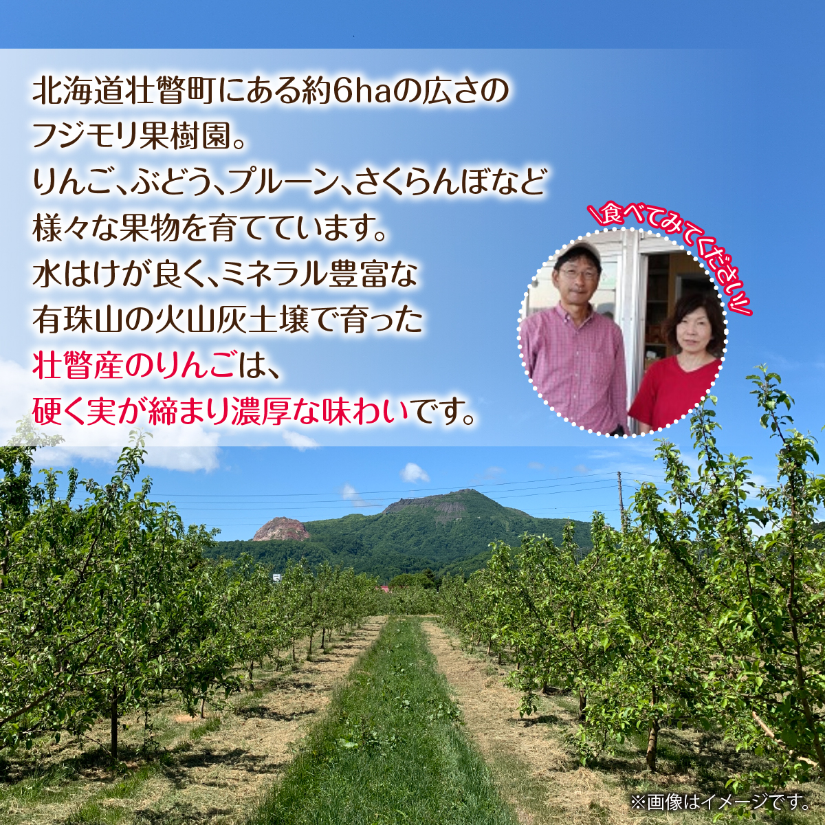 【先行予約】北海道壮瞥町産りんご「サンつがる」約3kg(8~11玉)《2026年9月下旬よりお届け》 SBTF001