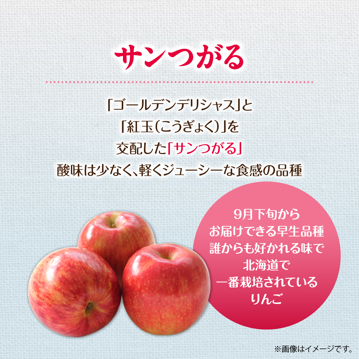 【先行予約】北海道壮瞥町産りんご「サンつがる」約3kg(8~11玉)《2026年9月下旬よりお届け》 SBTF001