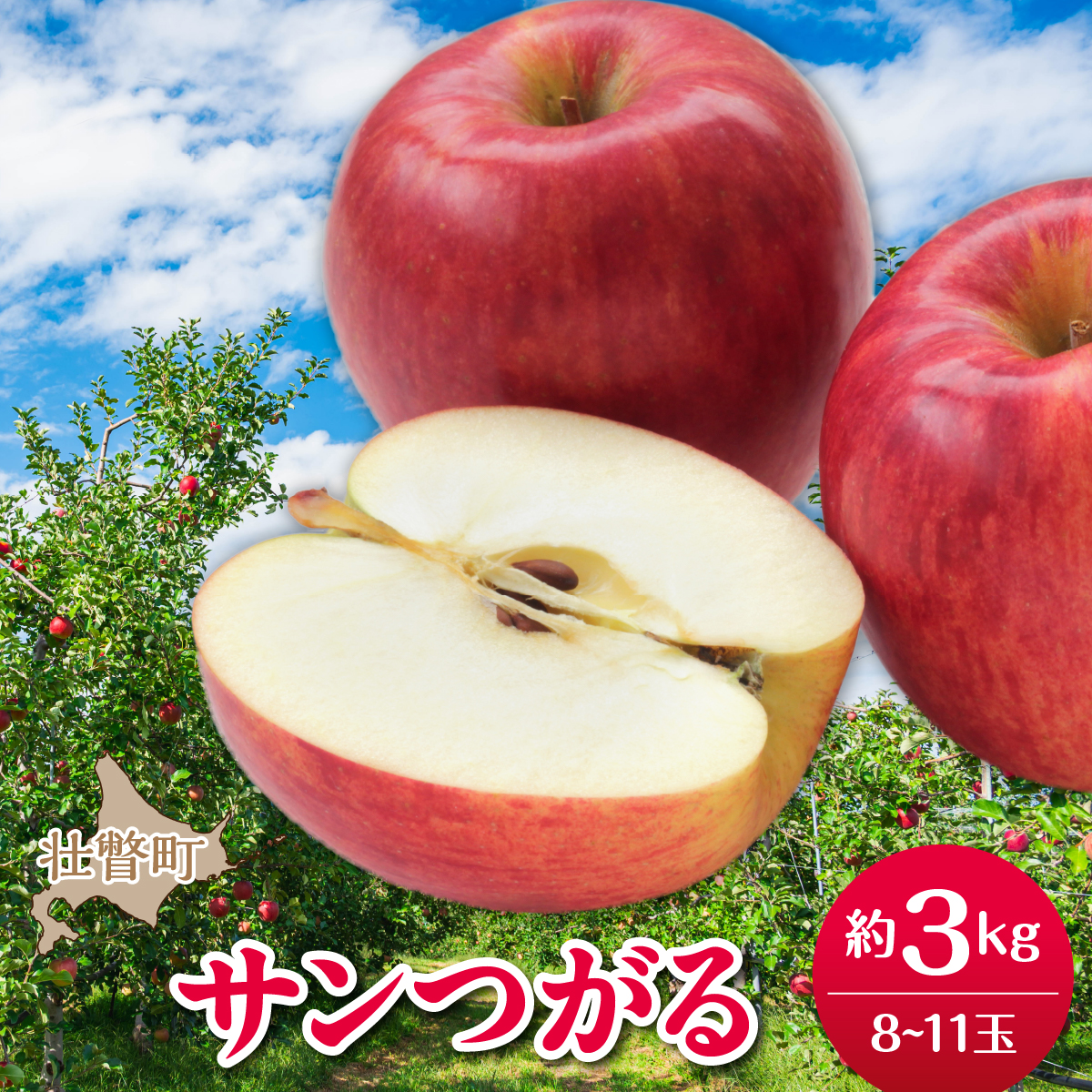 【先行予約】北海道壮瞥町産りんご「サンつがる」約3kg(8～11玉)《2026年9月下旬よりお届け》 SBTF001