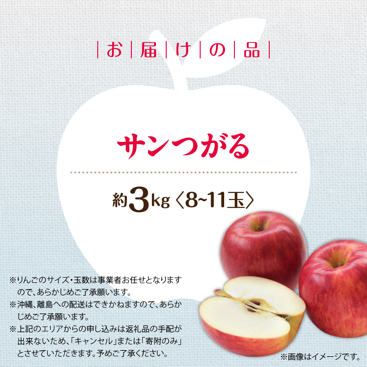 【先行予約】北海道壮瞥町産りんご「サンつがる」約3kg(8~11玉)《2026年9月下旬よりお届け》 SBTF001
