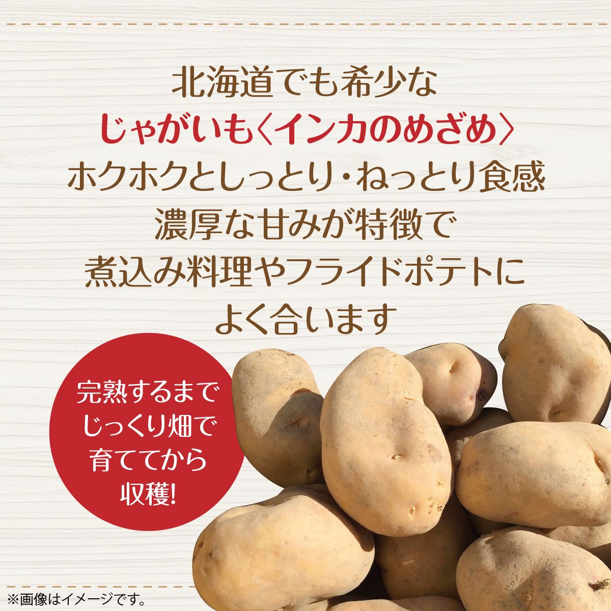 【先行予約】幻のじゃがいも インカのめざめ 約8kg 北海道壮瞥町産 8月下旬頃よりお届け  SBTO002