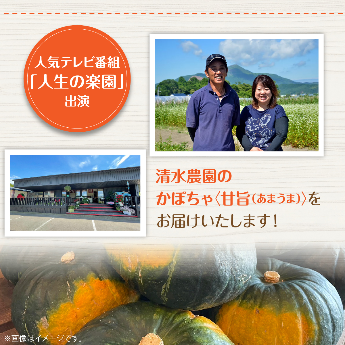 ＜2026年9月初旬よりお届け＞【農園直送】清水農園のかぼちゃ(甘旨）約10kg (4～6玉) SBTO013