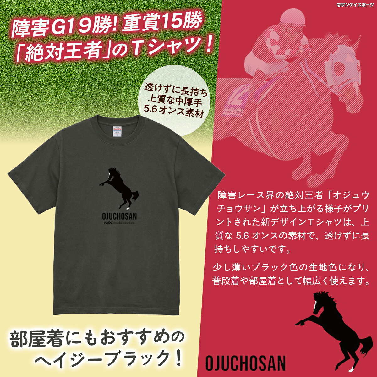 【オジュウチョウサン】Ｔシャツ _Ｓ-XLサイズ（ヘイジーブラック） 【ふるさと納税 人気 おすすめ  馬 競馬 競走馬 オジュウチョウサン グッズ 北海道 平取町 びらとり 】 BRTV004-v