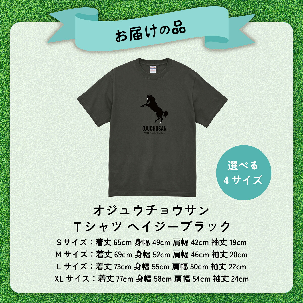 【オジュウチョウサン】Ｔシャツ _Ｓ-XLサイズ（ヘイジーブラック） 【ふるさと納税 人気 おすすめ  馬 競馬 競走馬 オジュウチョウサン グッズ 北海道 平取町 びらとり 】 BRTV004-v