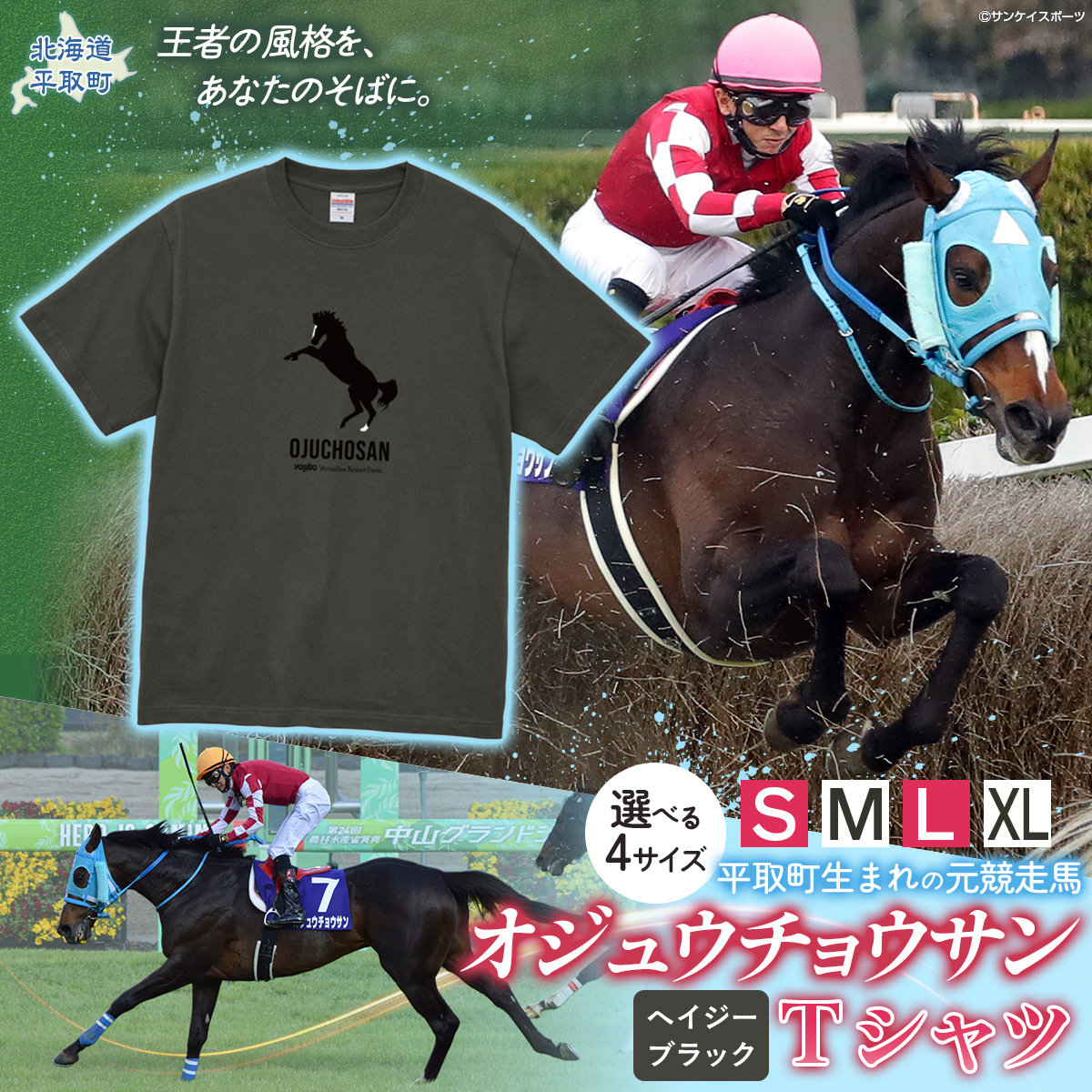 【オジュウチョウサン】Ｔシャツ _Ｓ-XLサイズ（ヘイジーブラック） 【ふるさと納税 人気 おすすめ  馬 競馬 競走馬 オジュウチョウサン グッズ 北海道 平取町 びらとり 】 BRTV004-v