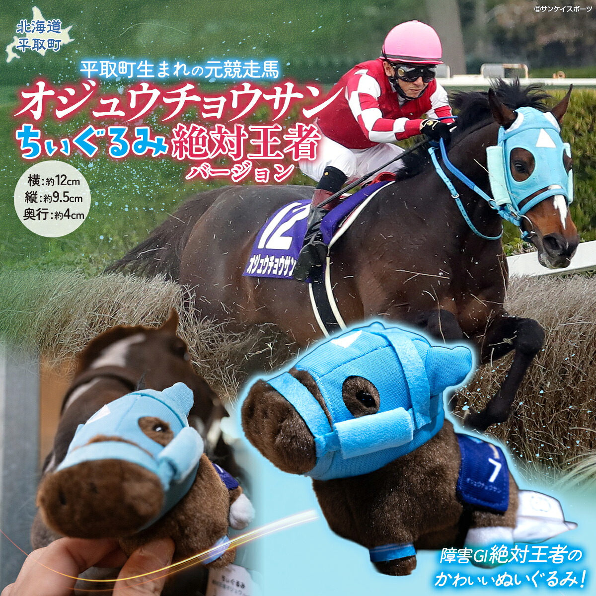 TVで紹介 ちぃぐるみ 絶対王者バージョン