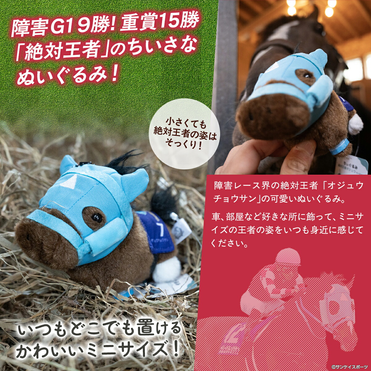 TVで紹介！【オジュウチョウサン】ちぃぐるみ　絶対王者バージョン【ふるさと納税 人気 おすすめ  馬 競馬 競走馬 オジュウチョウサン グッズ 北海道 平取町 びらとり 】 BRTV006