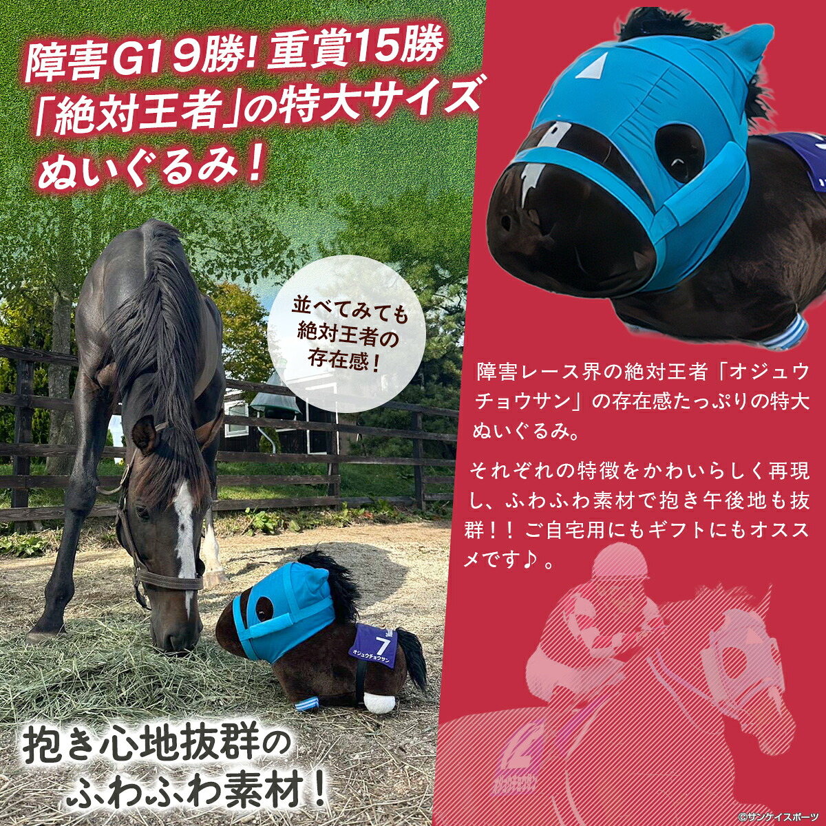【オジュウチョウサン】特大ぬいぐるみ　絶対王者バージョン【ふるさと納税 人気 おすすめ  馬 競馬 競走馬 オジュウチョウサン グッズ 北海道 平取町 びらとり 】 BRTV007