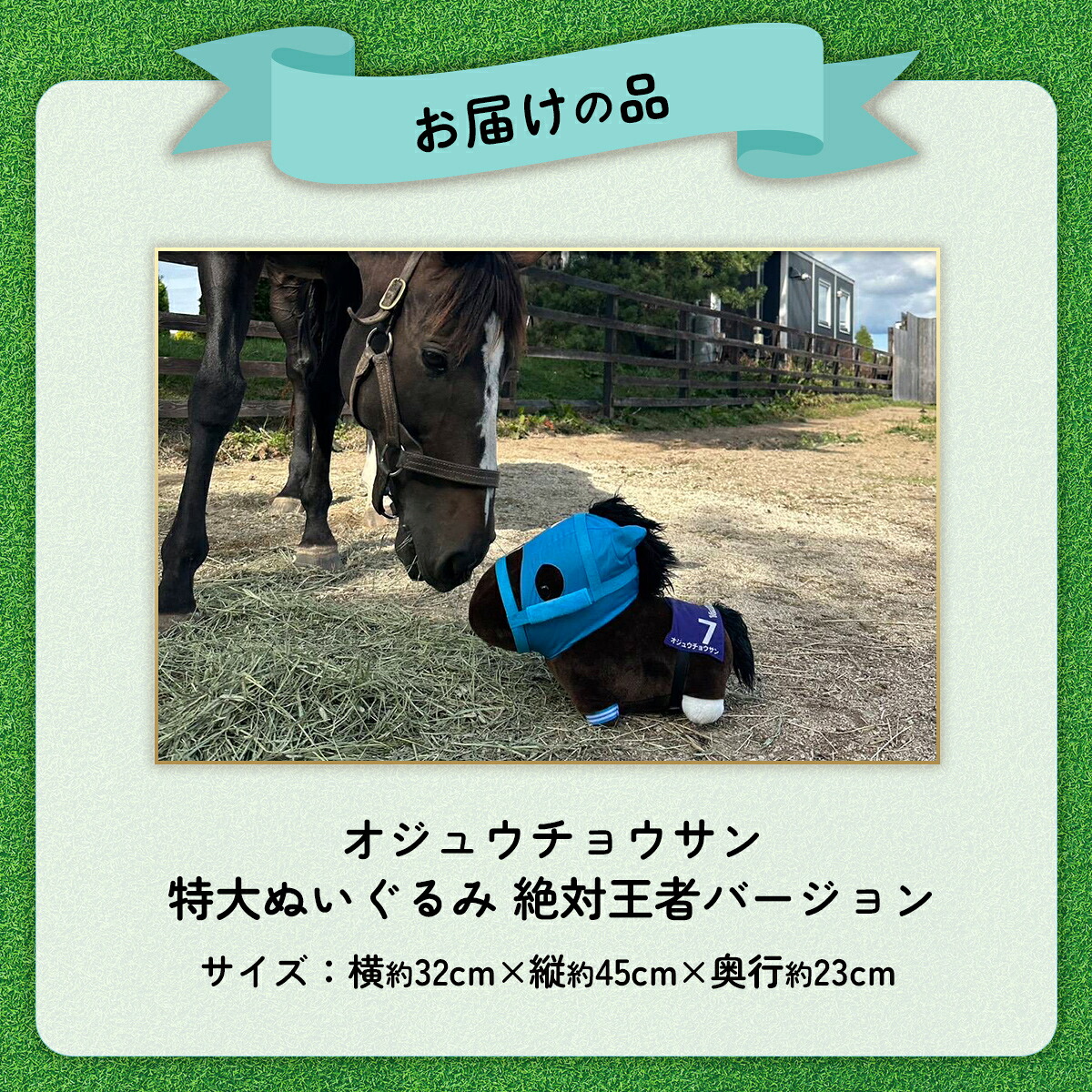 【オジュウチョウサン】特大ぬいぐるみ　絶対王者バージョン【ふるさと納税 人気 おすすめ  馬 競馬 競走馬 オジュウチョウサン グッズ 北海道 平取町 びらとり 】 BRTV007