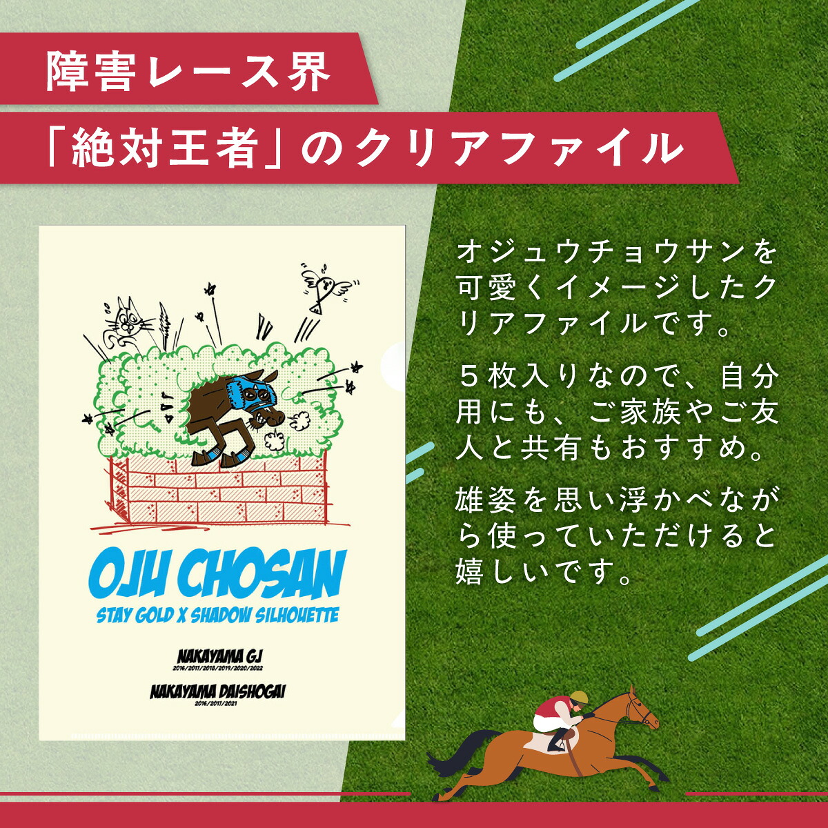 【オジュウチョウサン】クリアファイル イラスト5枚入り【ふるさと納税 人気 おすすめ  馬 競馬 競走馬 オジュウチョウサン グッズ 北海道 平取町 びらとり 】 BRTV017