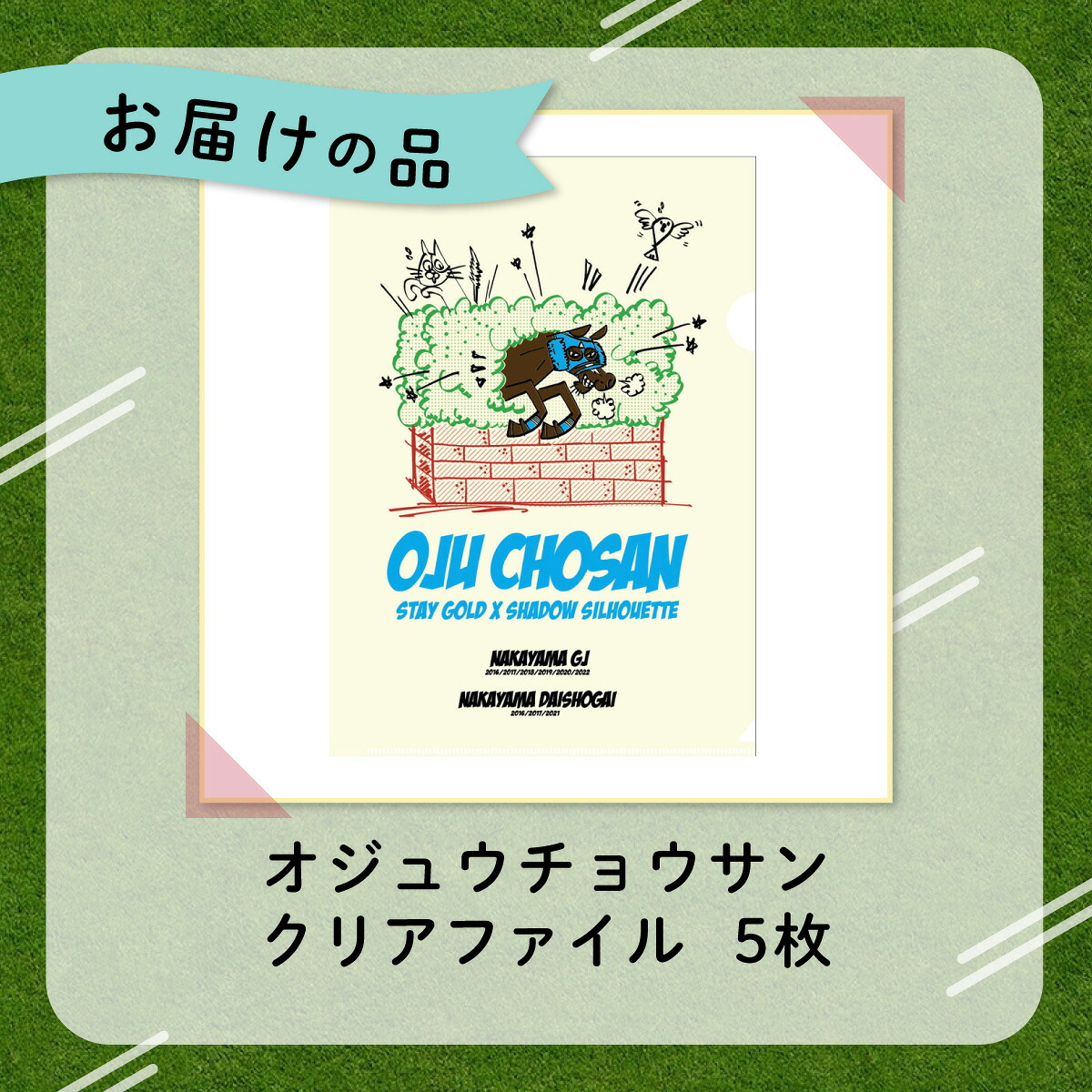 【オジュウチョウサン】クリアファイル イラスト5枚入り【ふるさと納税 人気 おすすめ  馬 競馬 競走馬 オジュウチョウサン グッズ 北海道 平取町 びらとり 】 BRTV017