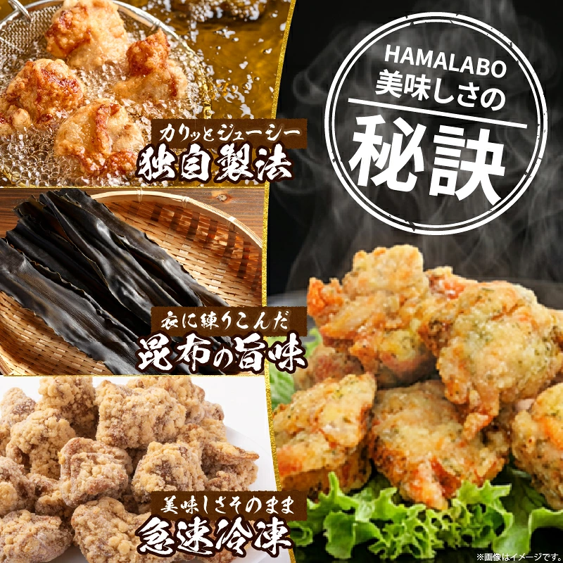 HAMALABO ザンギセット_H0020-101
