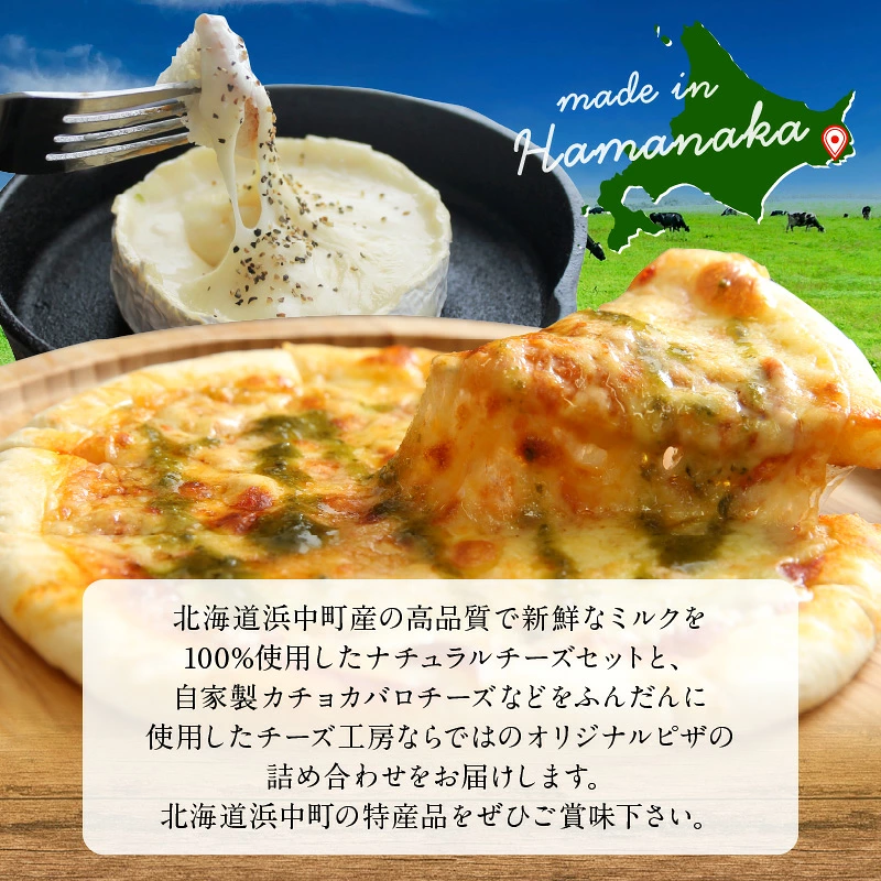 【おおともチーズ工房】厳選チーズセットとチーズ工房のピザ3種詰め合わせ_H0003-150