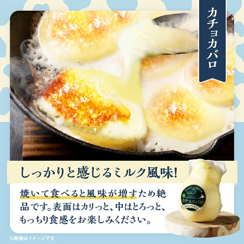 【おおともチーズ工房】カチョカバロチーズ180g×2個_H0003-104
