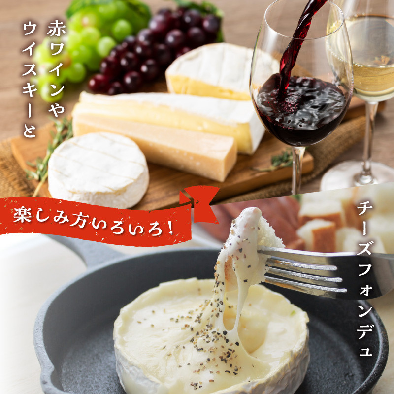 【おおともチーズ工房】牧場のカマンベールチーズ100g×2個（ハーフカット）_H0003-145