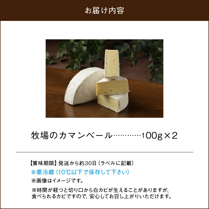 【おおともチーズ工房】牧場のカマンベールチーズ100g×2個（ハーフカット）_H0003-145